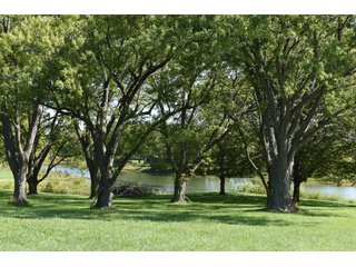 Property photo 30 - Tillable, Pasture, Recreational, Hunting and Fishing Property  